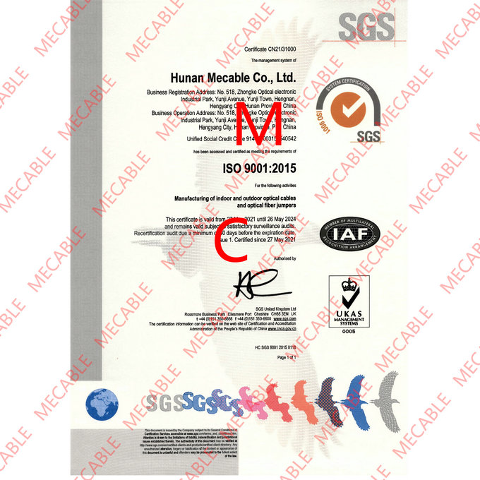 Hunan Mecable SGS certificate